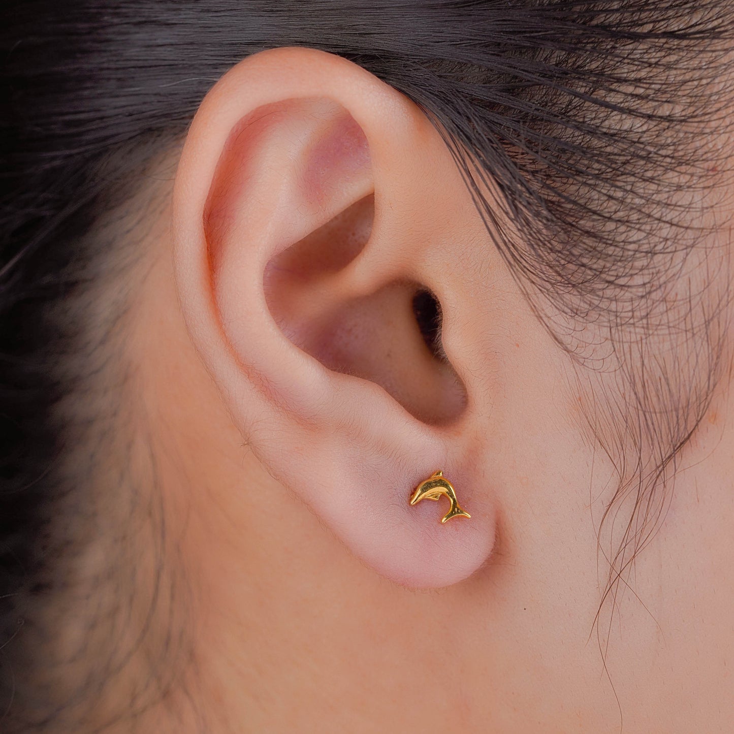 Silver Dolphin Sparkle Studs